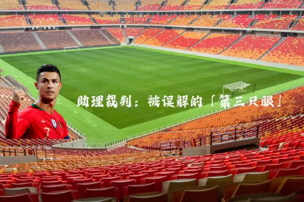 助理裁判：被误解的「第三只眼」